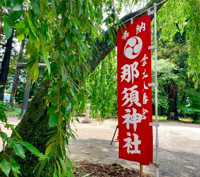 20190622栃木応援&美山荘_190624_0011.jpg